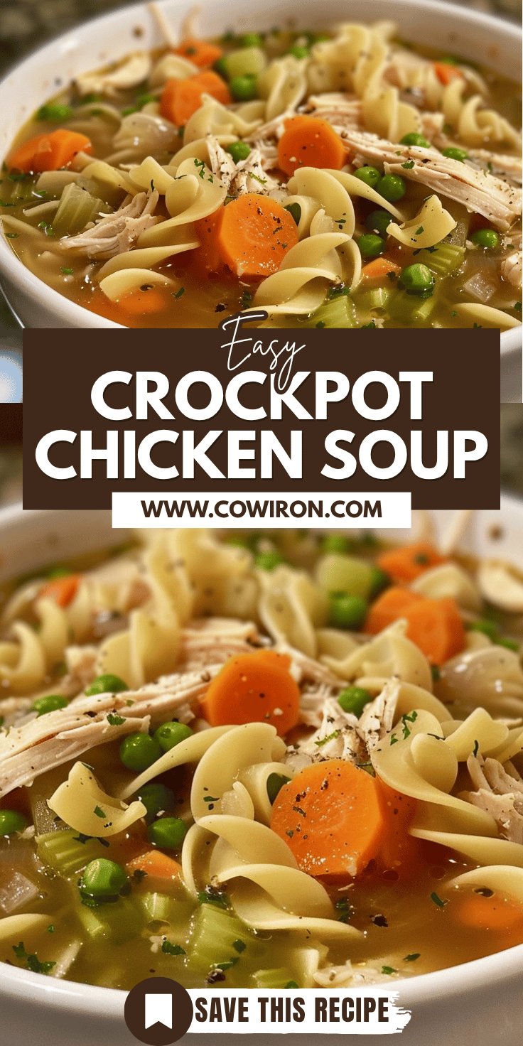 Healthy Crockpot Chicken Vegetable Noodle Soup Recipe