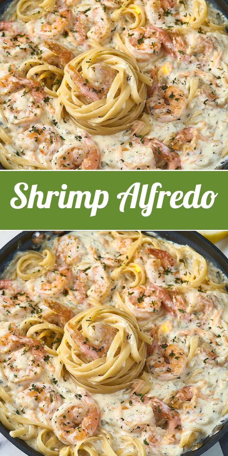 Shrimp Alfredo