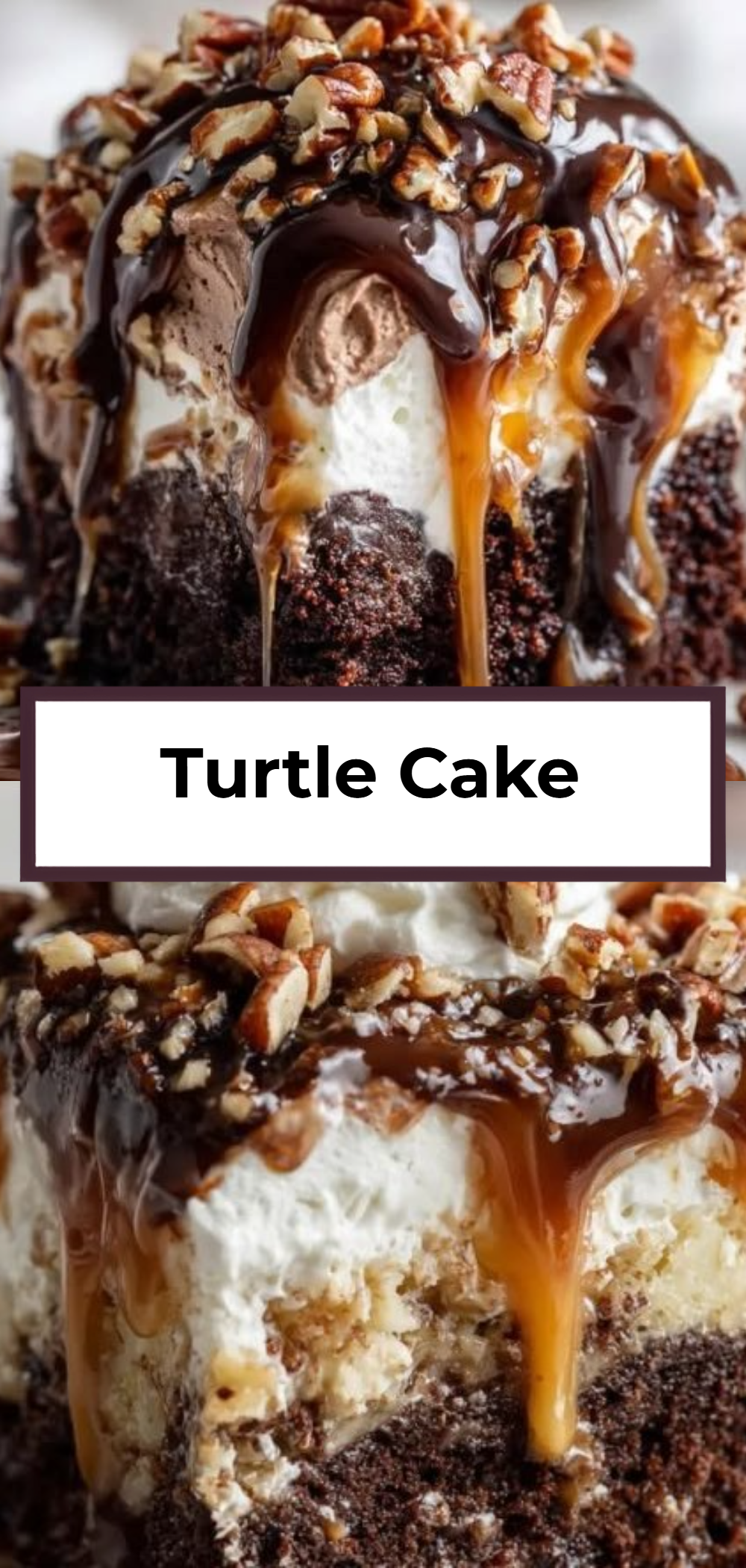 Turtle Cake