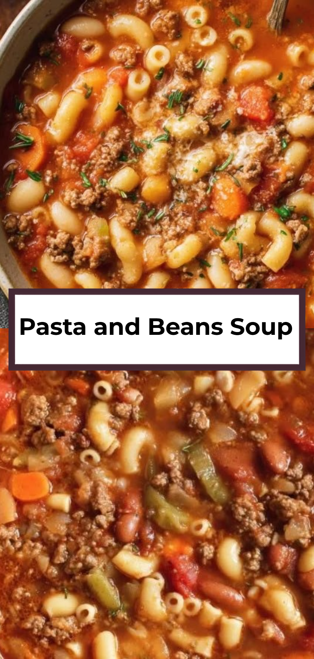 Pasta and Beans Soup