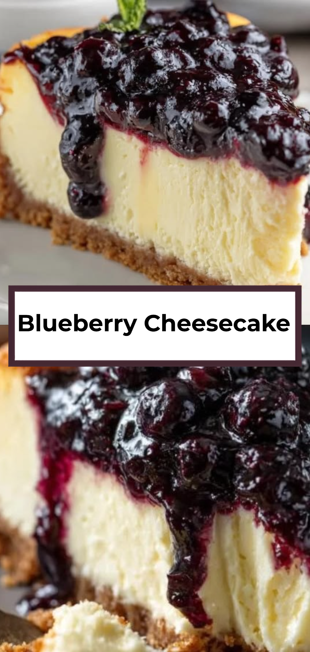 Blueberry Cheesecake