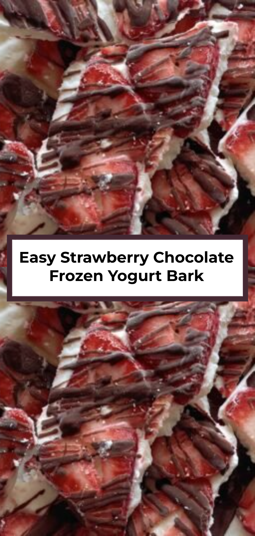 Easy Strawberry Chocolate Frozen Yogurt Bark