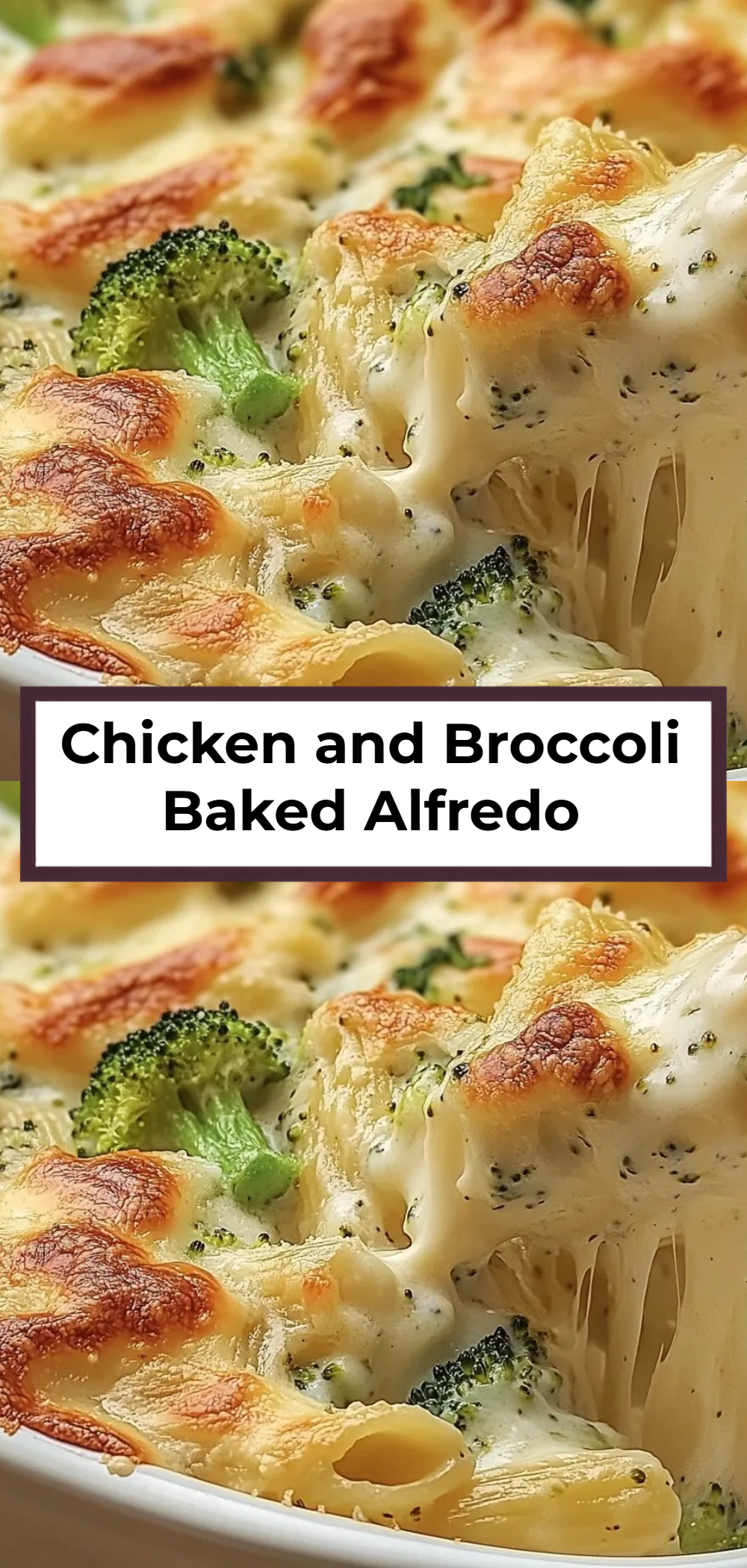 Chicken and Broccoli Baked Alfredo