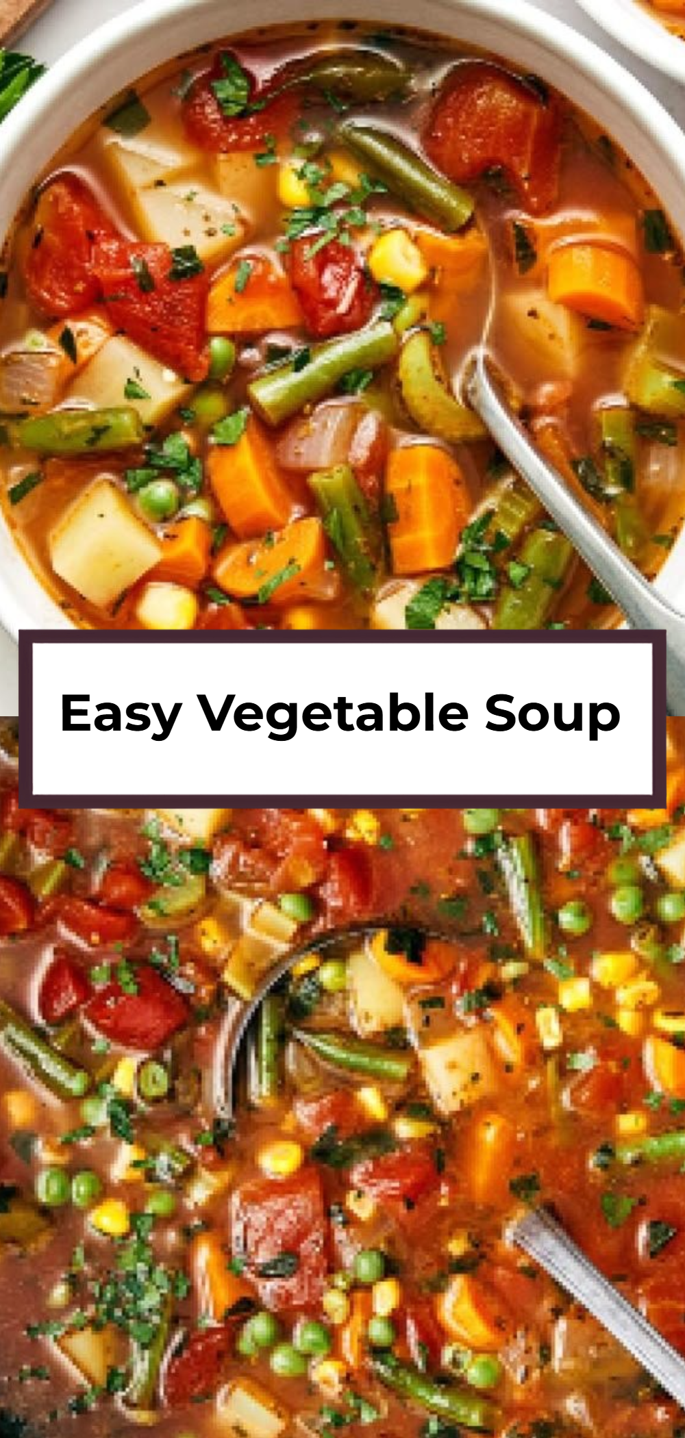 Easy Vegetable Soup