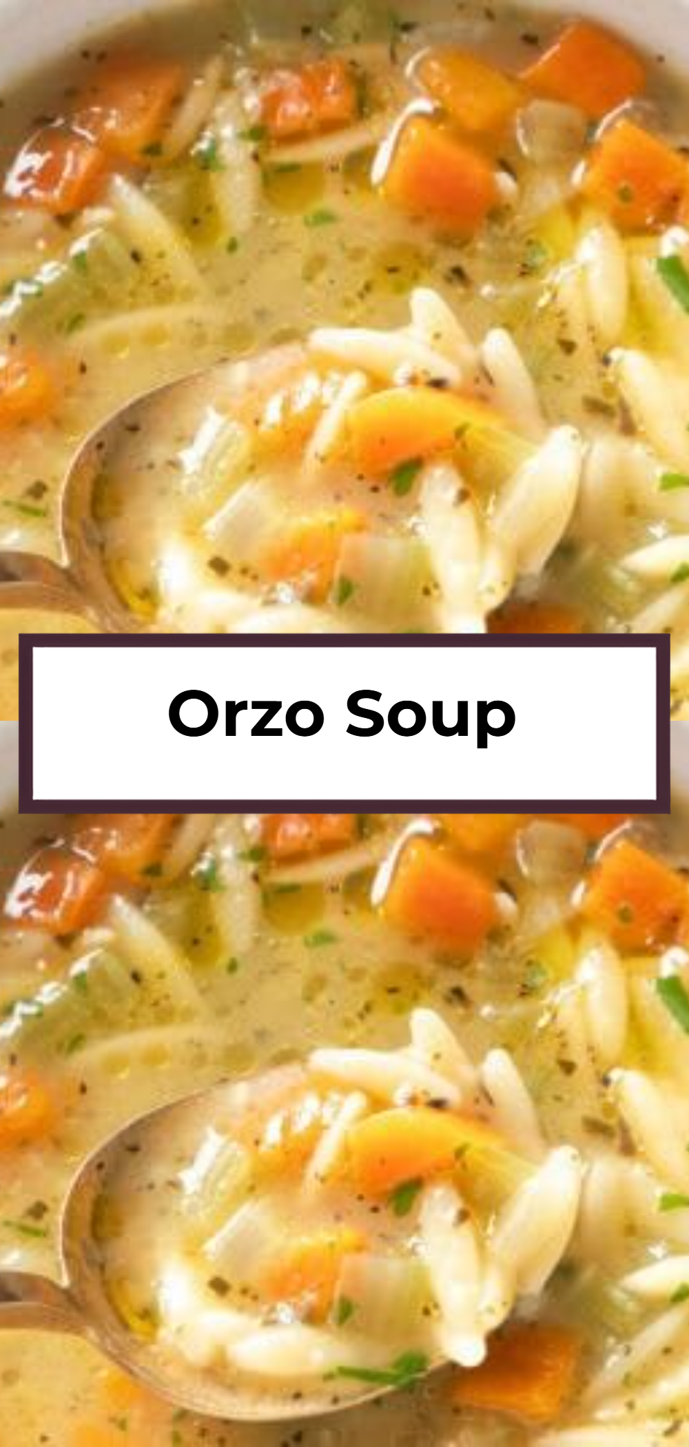 Orzo Soup