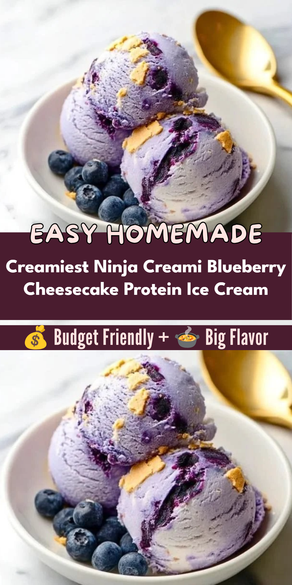 Creamiest Ninja Creami Blueberry Cheesecake Protein Ice Cream
