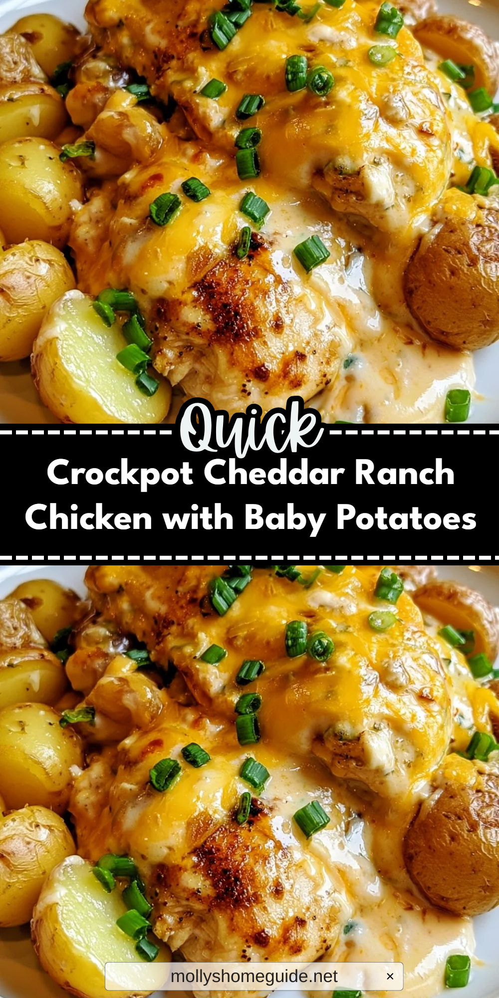 Crockpot Cheddar Ranch Chicken with Baby Potatoes