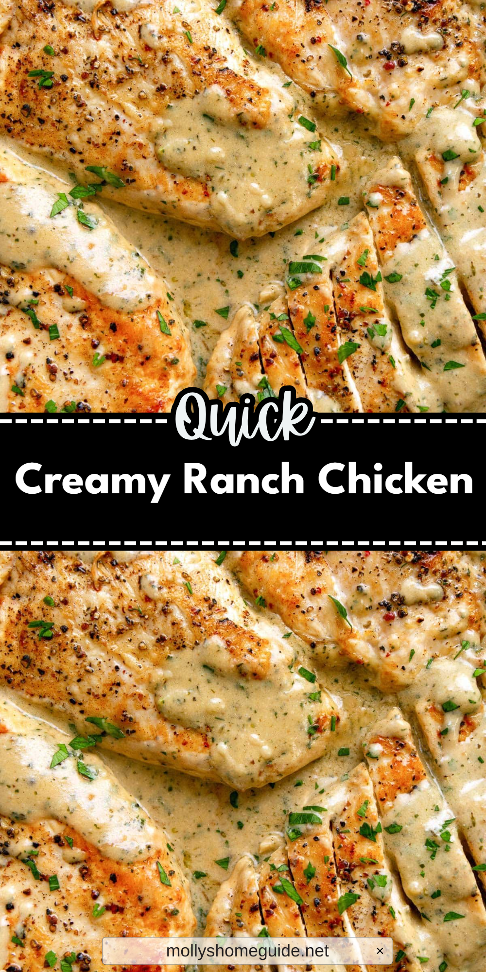 Creamy Ranch Chicken