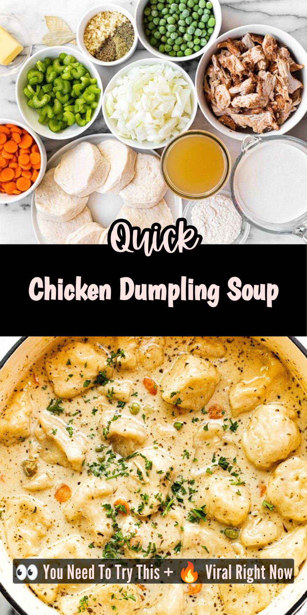 Chicken Dumpling Soup