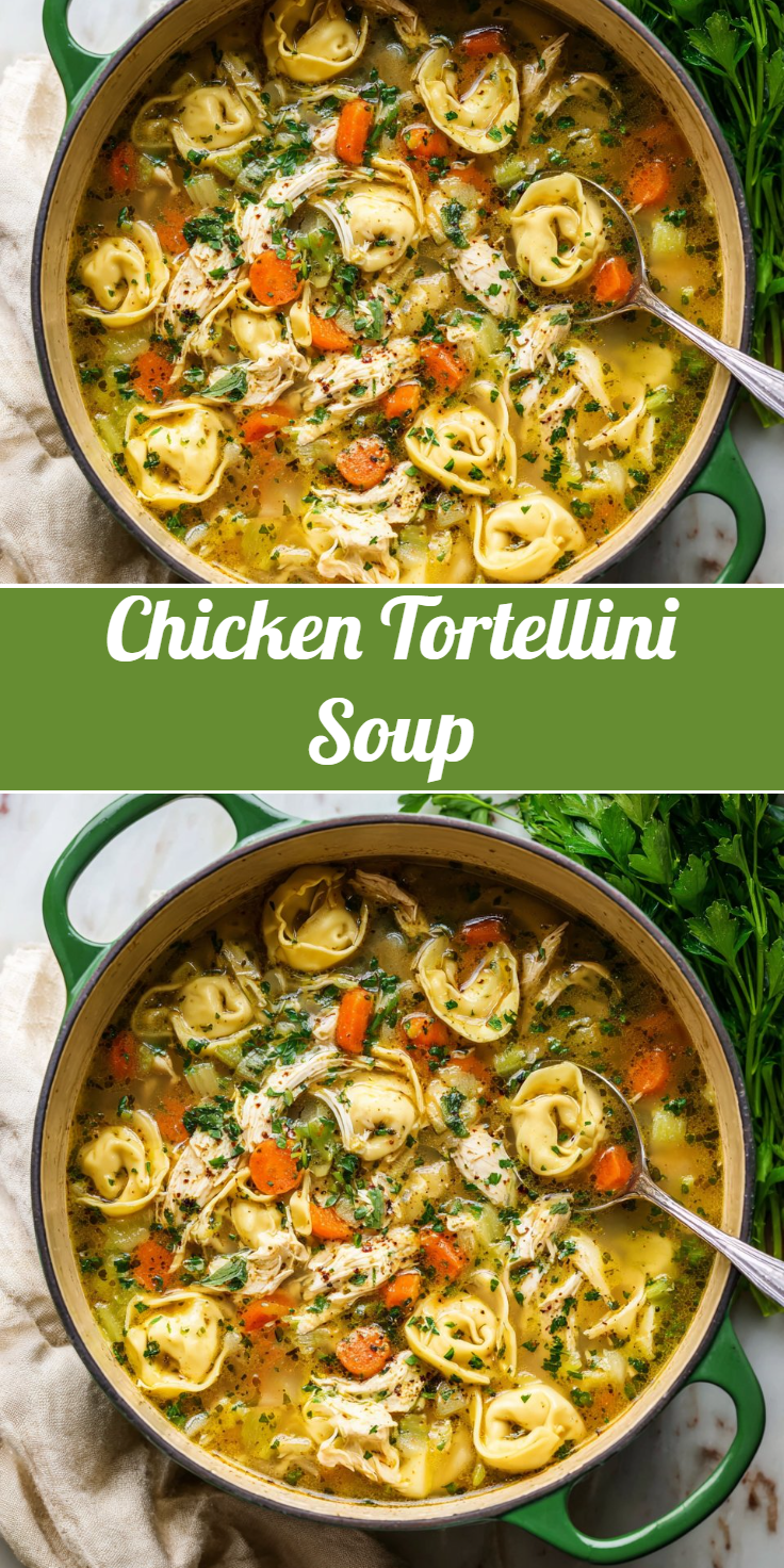Chicken Tortellini Soup
