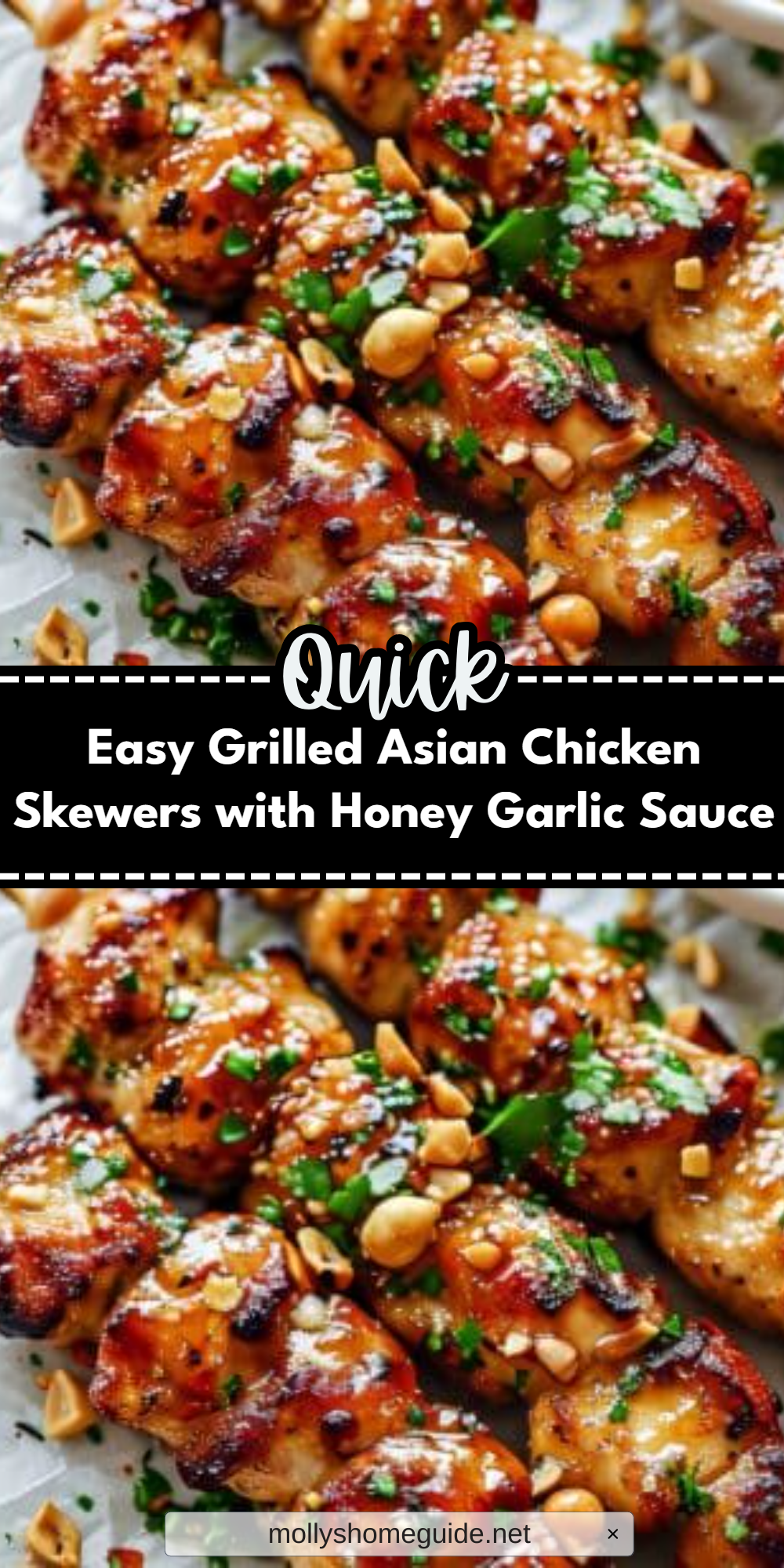 Easy Grilled Asian Chicken Skewers with Honey Garlic Sauce