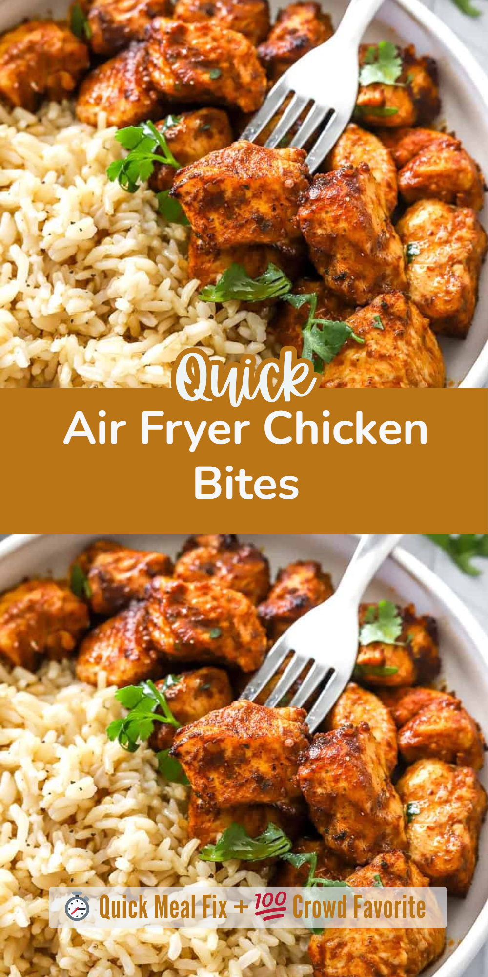 Air Fryer Chicken Bites