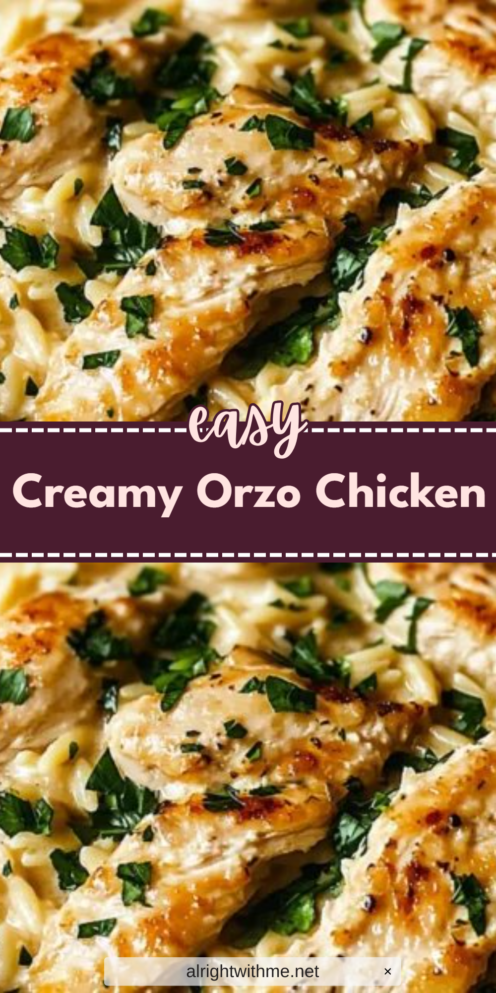 Creamy Orzo Chicken