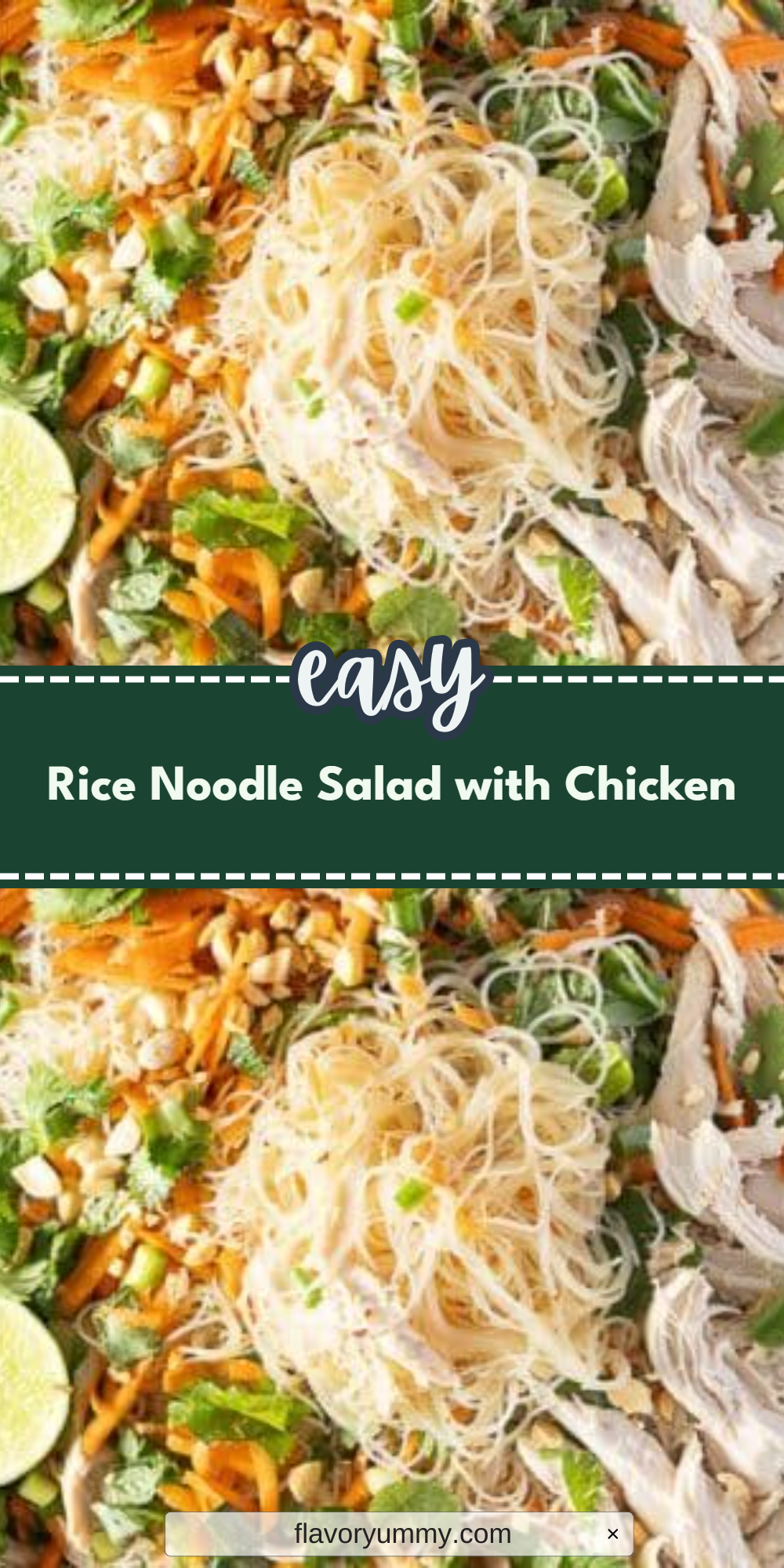 Rice Noodle Salad with Chicken