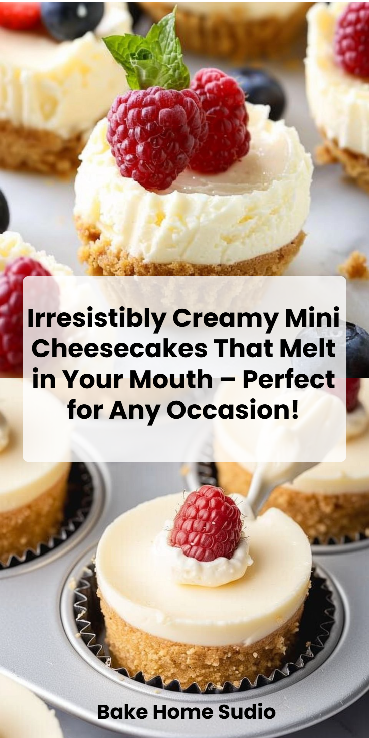 Mini Cheesecakes: Easy Bite-Sized Desserts