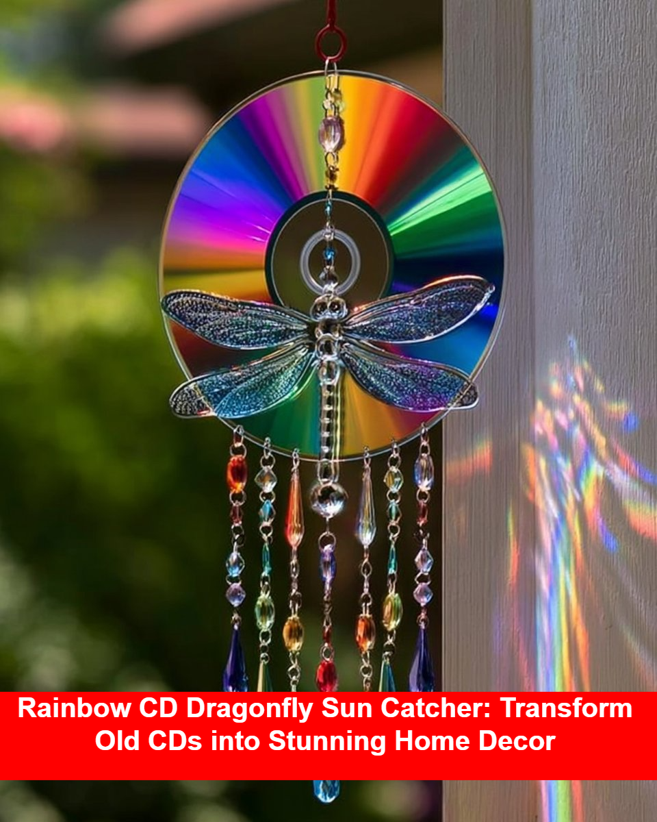 Rainbow CD Dragonfly Sun Catcher