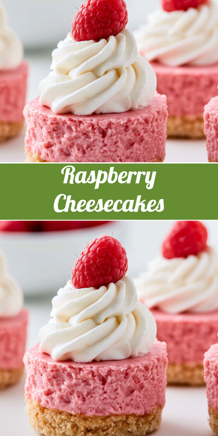 Raspberry Cheesecakes