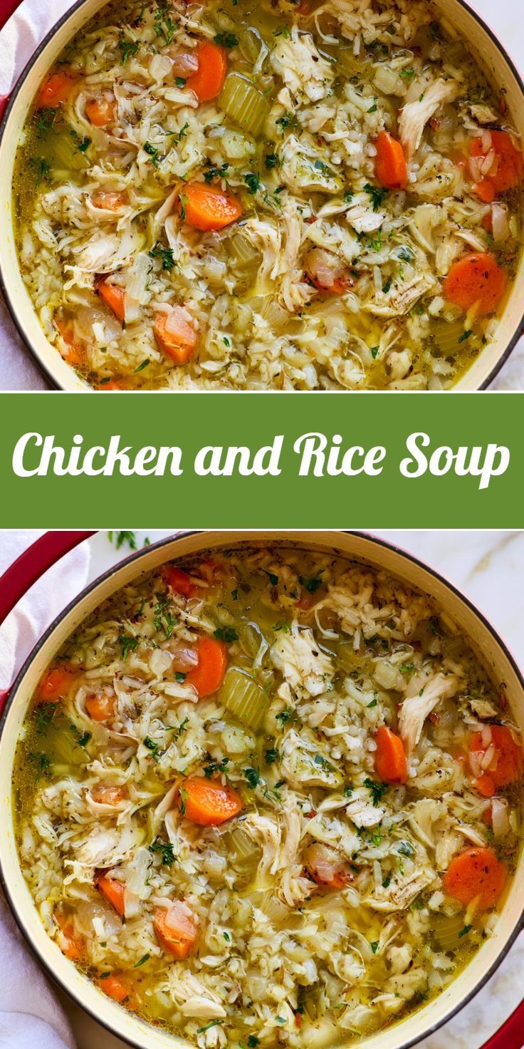 Chicken and Rice Soup
