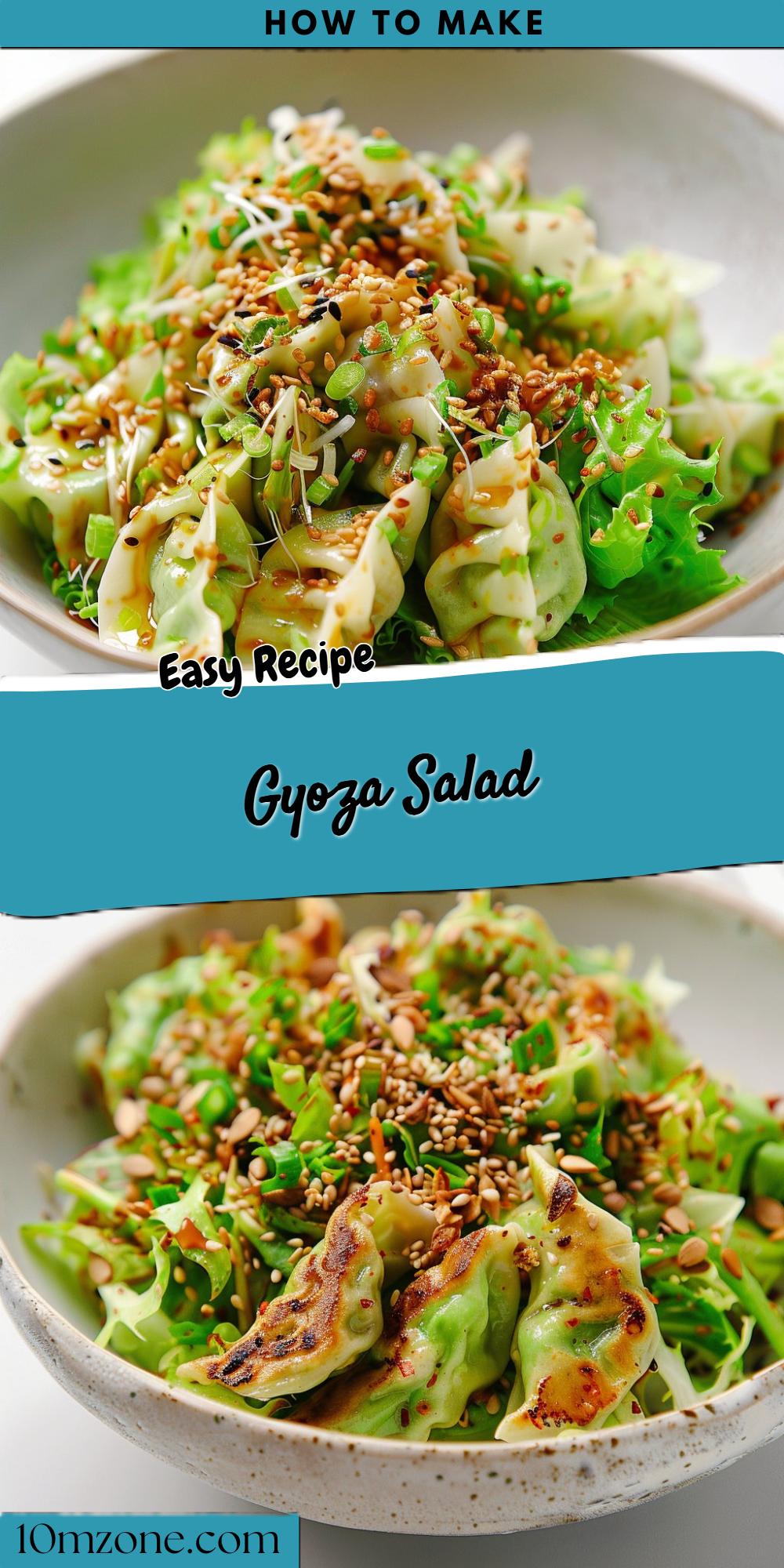 Gyoza Salad