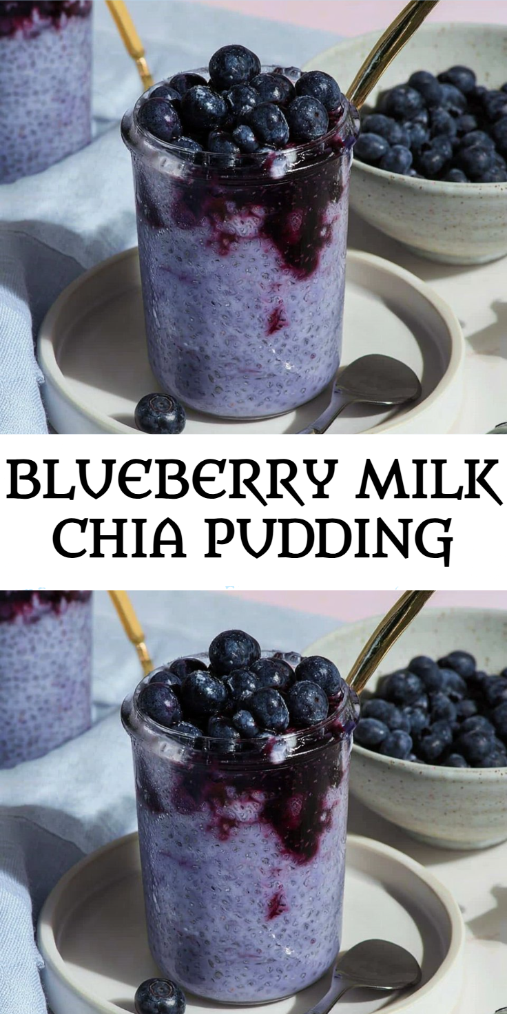 Blueberry Milk Chia Pudding