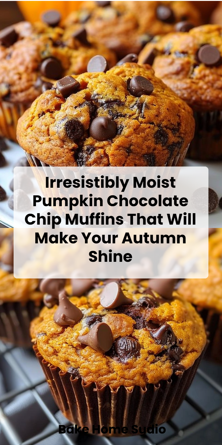 Pumpkin Chocolate Chip Muffins