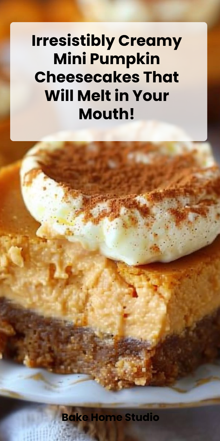 Mini Pumpkin Cheesecakes