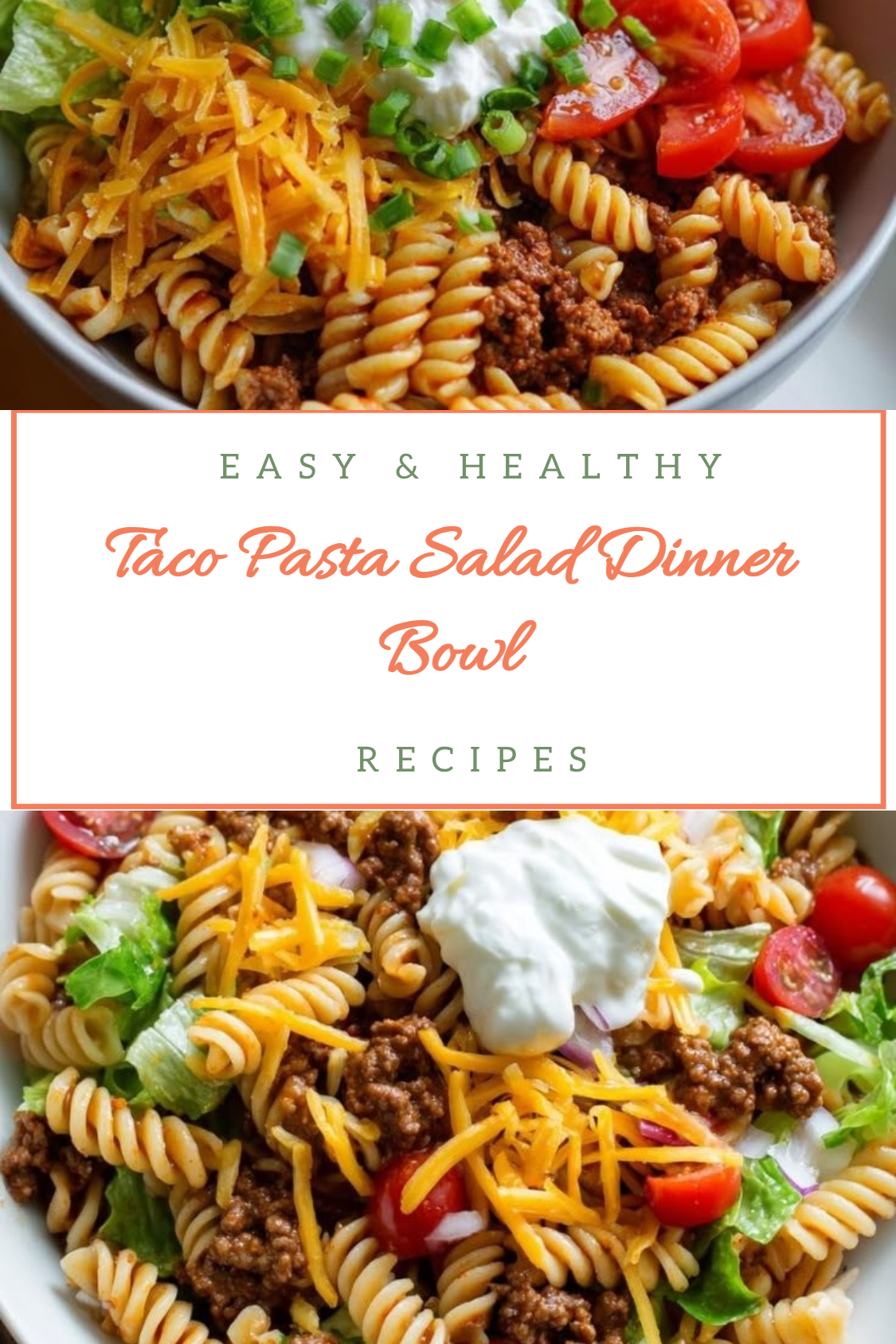 Taco Pasta Salad Dinner Bowl