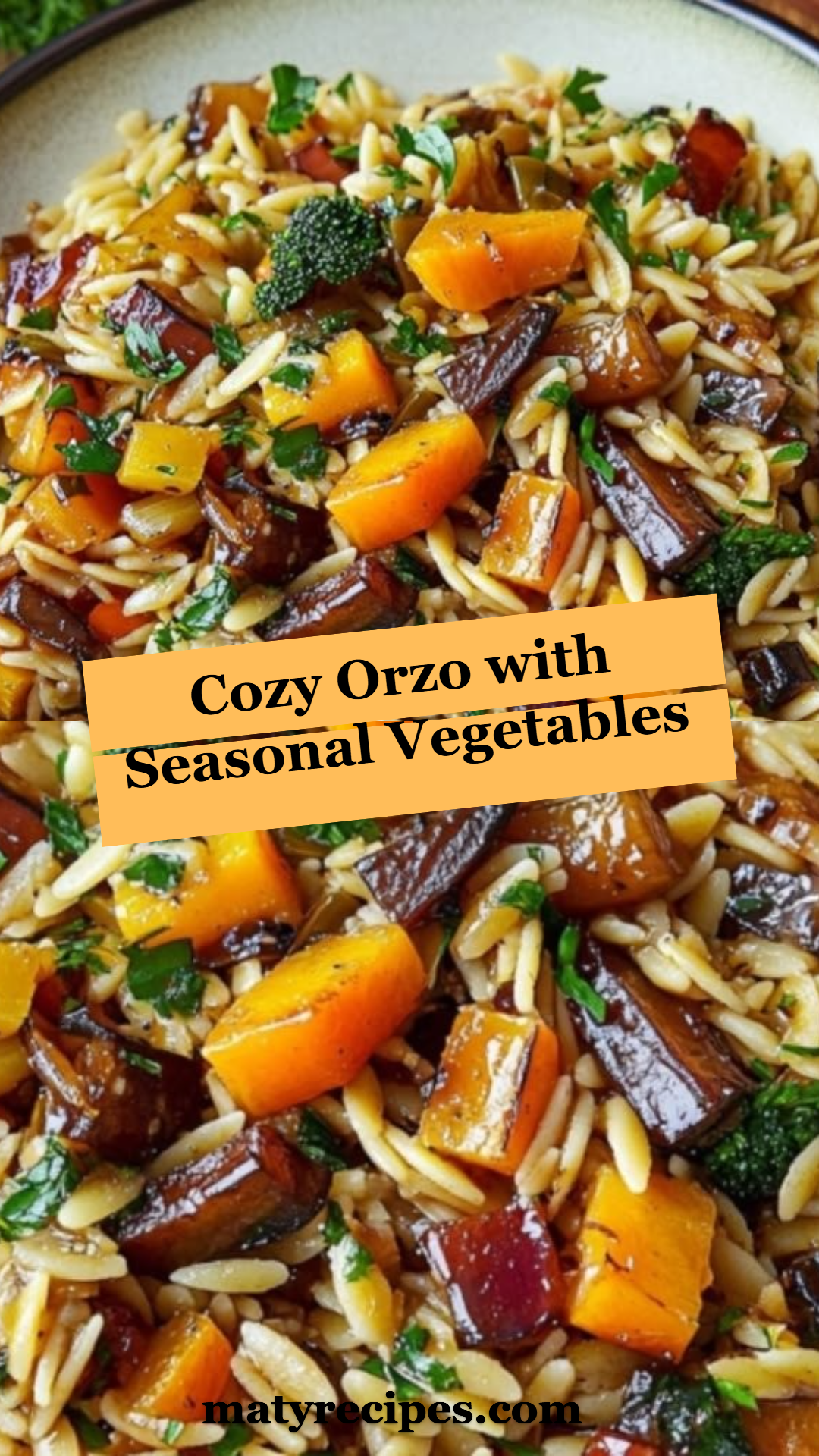 Cozy Orzo with Seasonal Vegetables