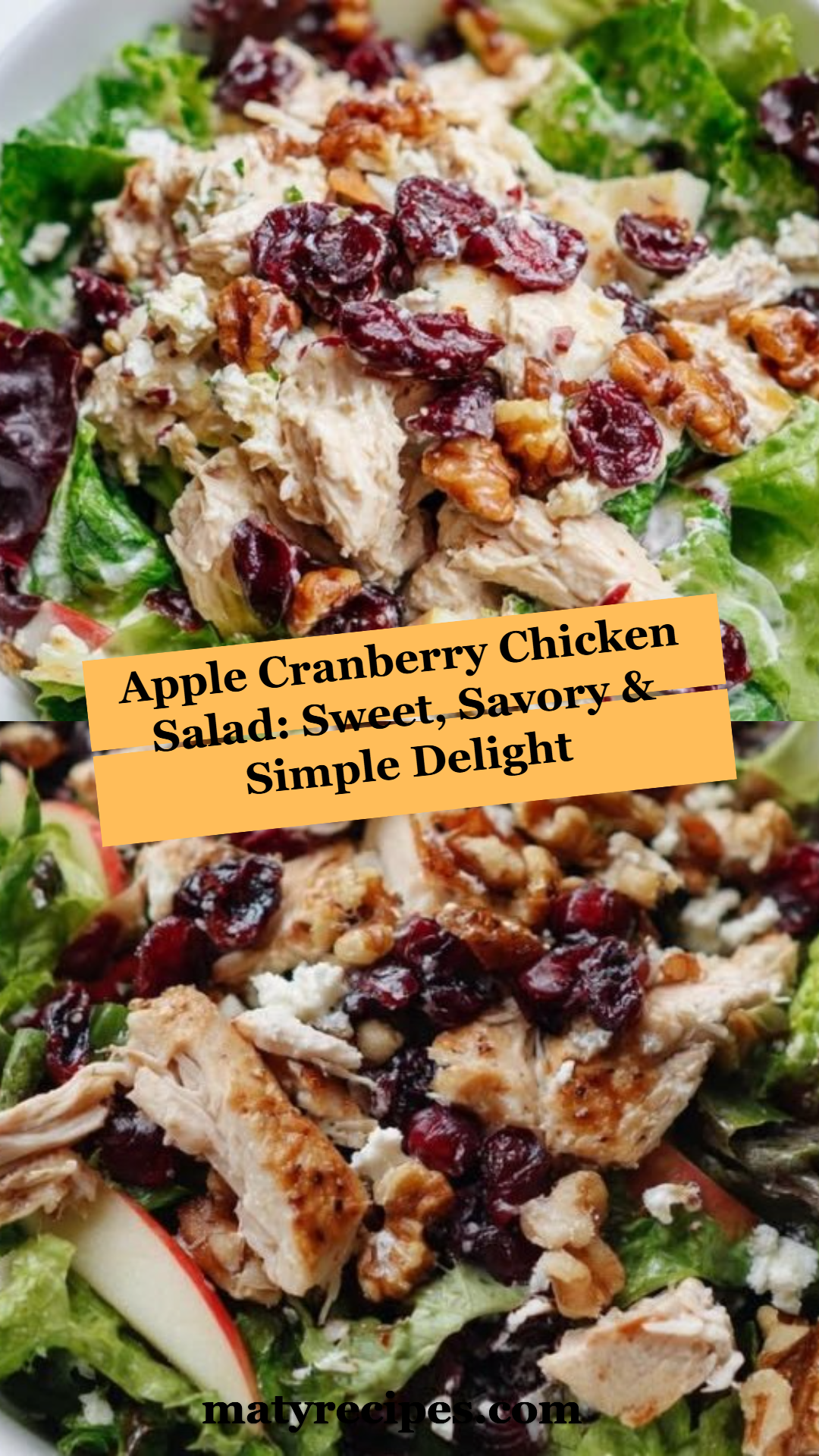 Apple Cranberry Chicken Salad: Sweet, Savory & Simple Delight