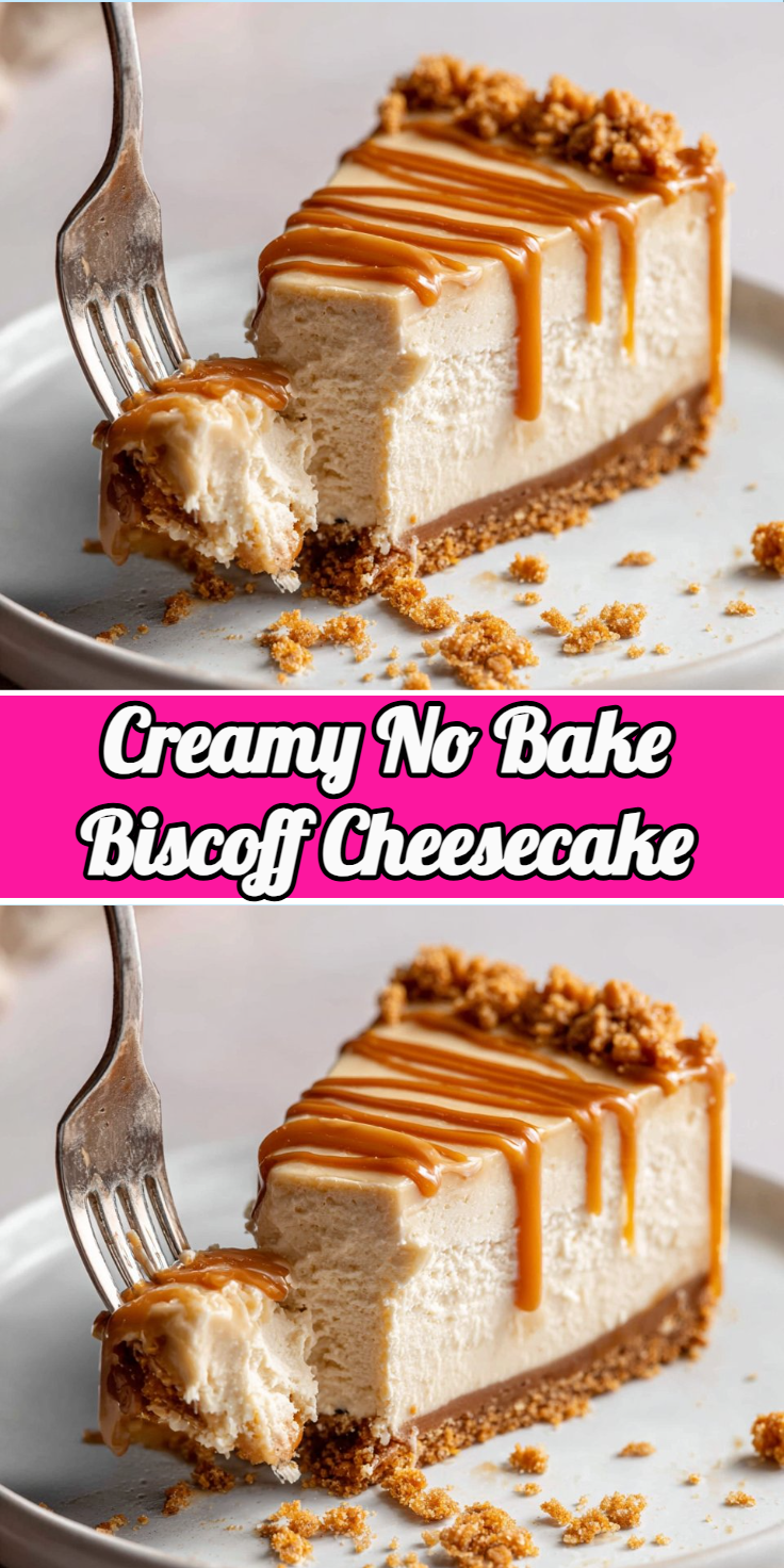 Creamy No Bake Biscoff Cheesecake