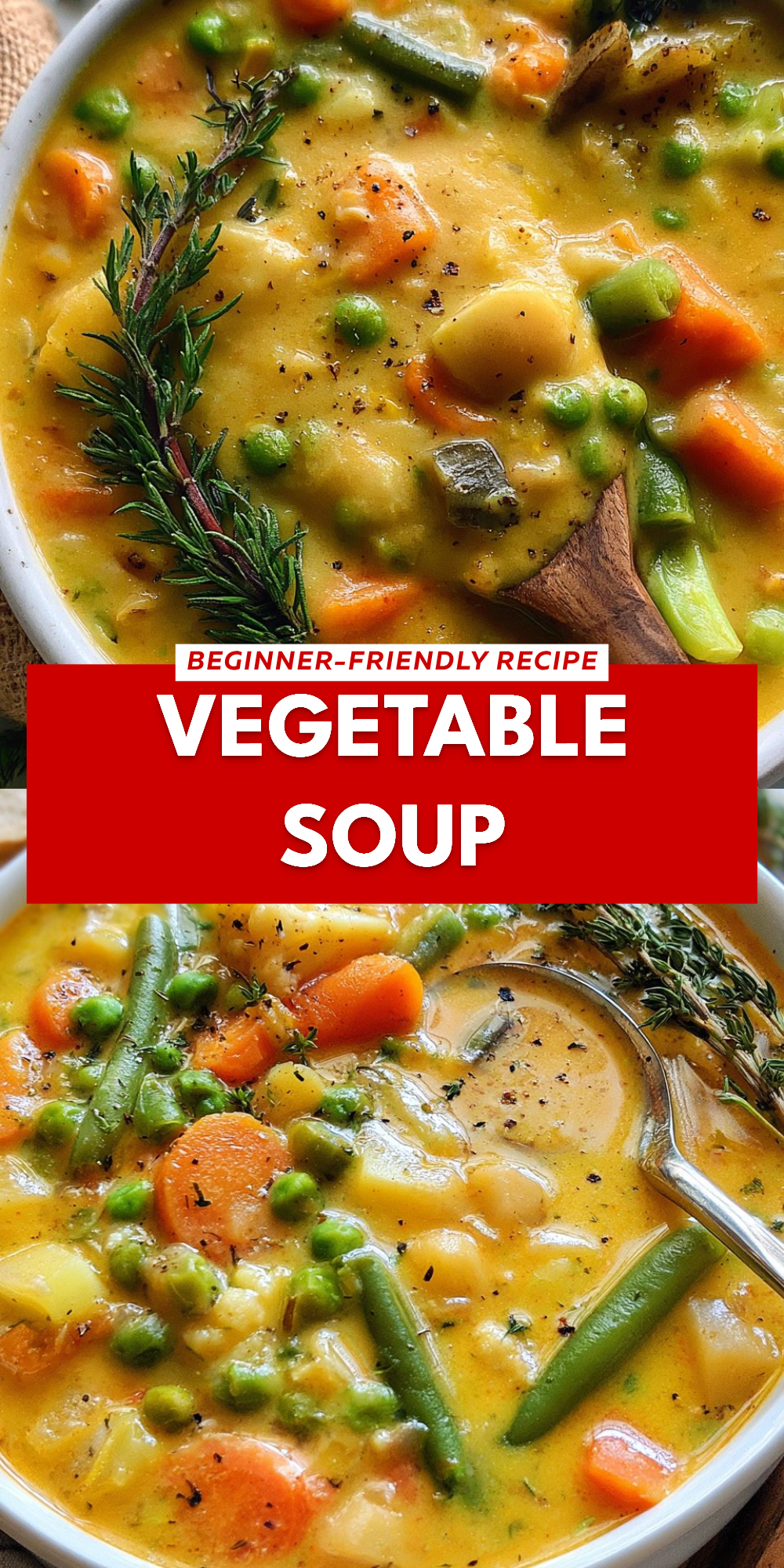 Vegetable Soup