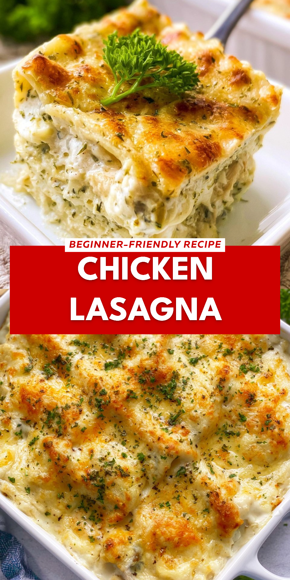 Chicken Lasagna