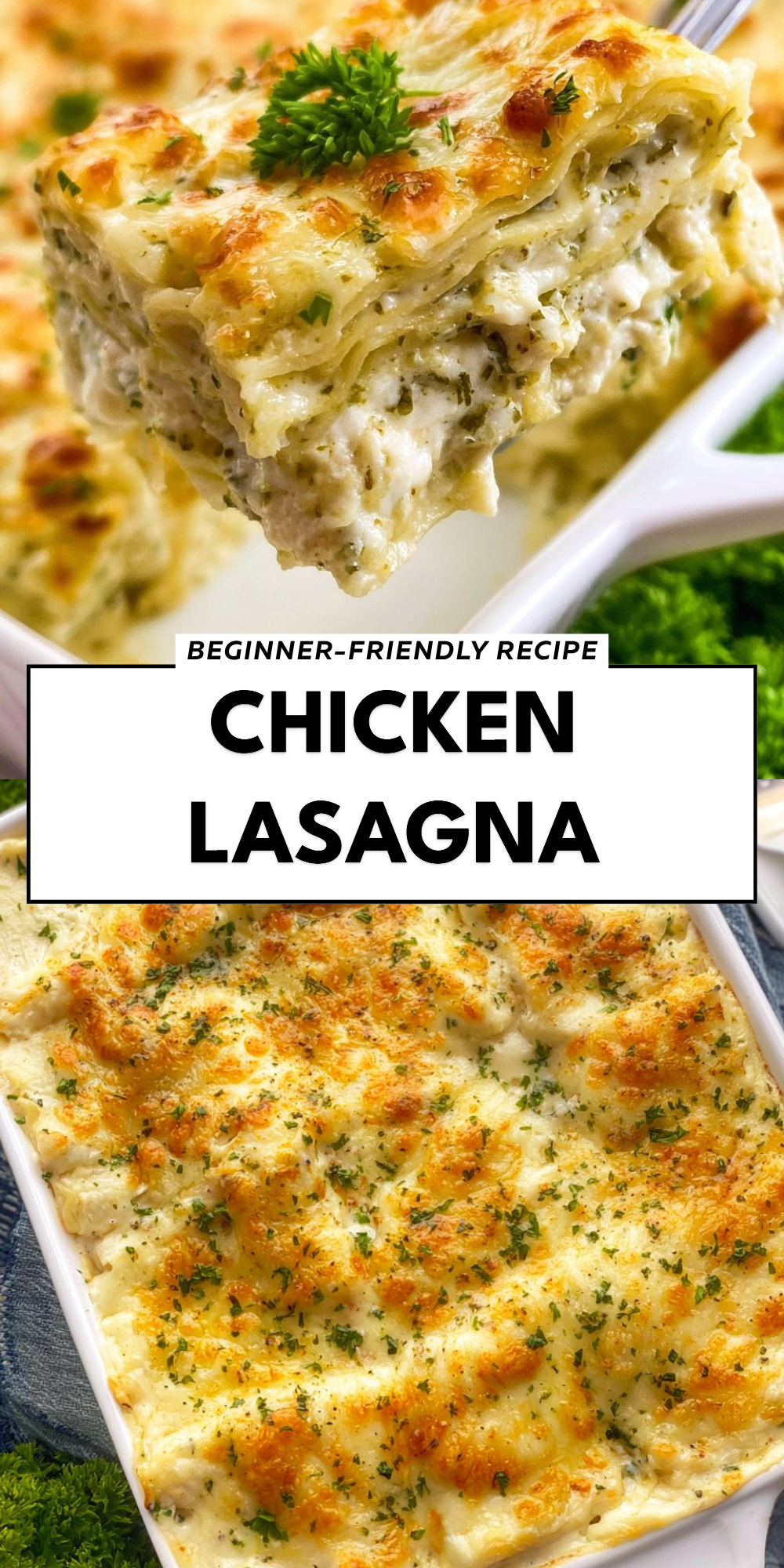 Chicken Lasagna