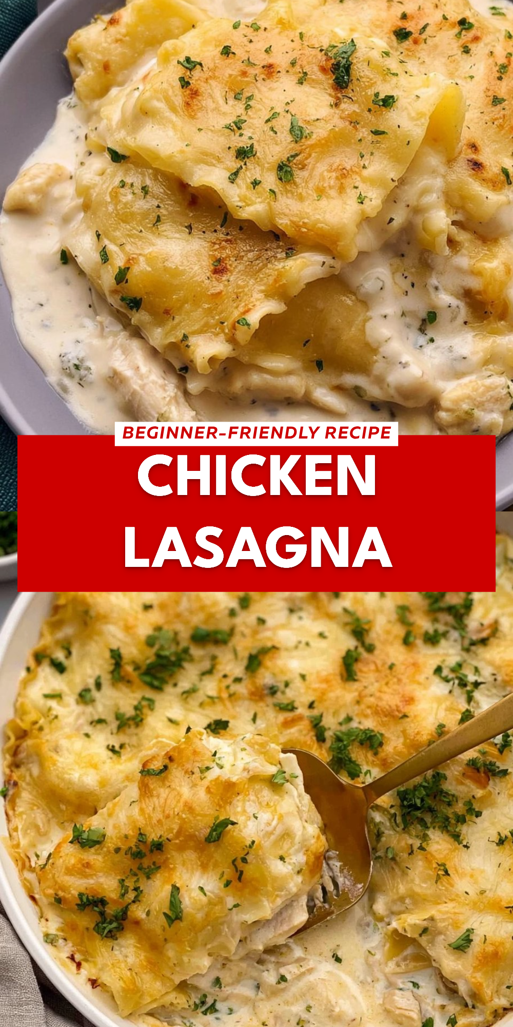 Chicken Lasagna