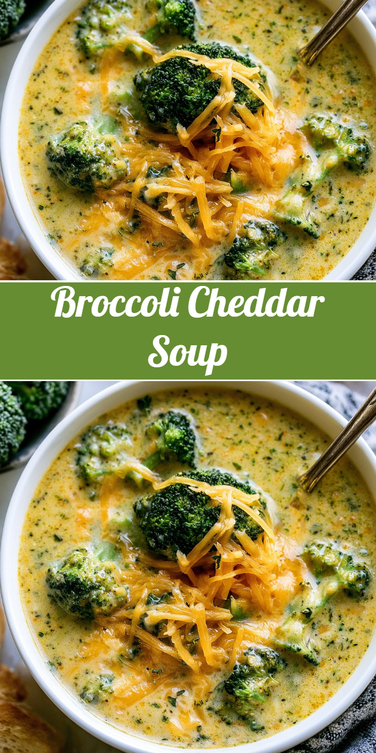 Broccoli Cheddar Soup