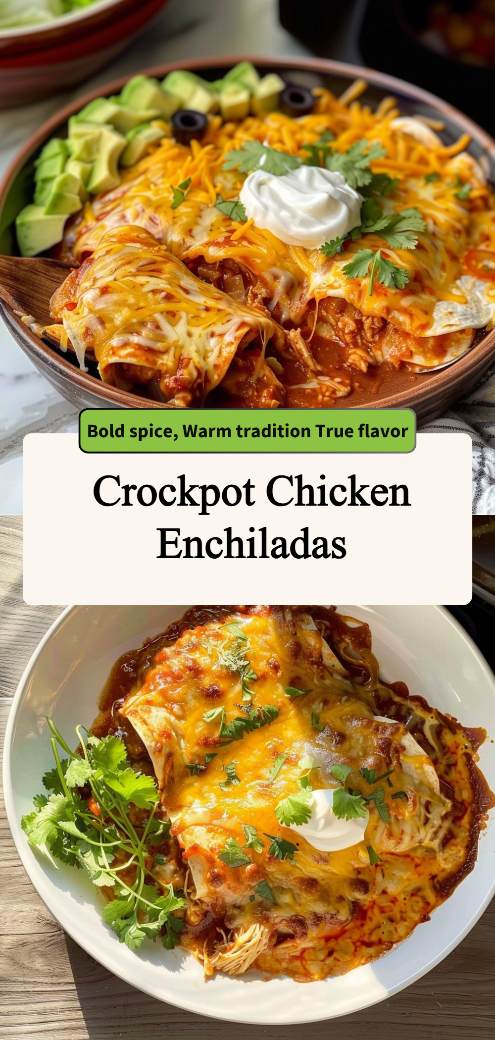 Crockpot Chicken Enchiladas 4 Crockpot Chicken Enchiladas