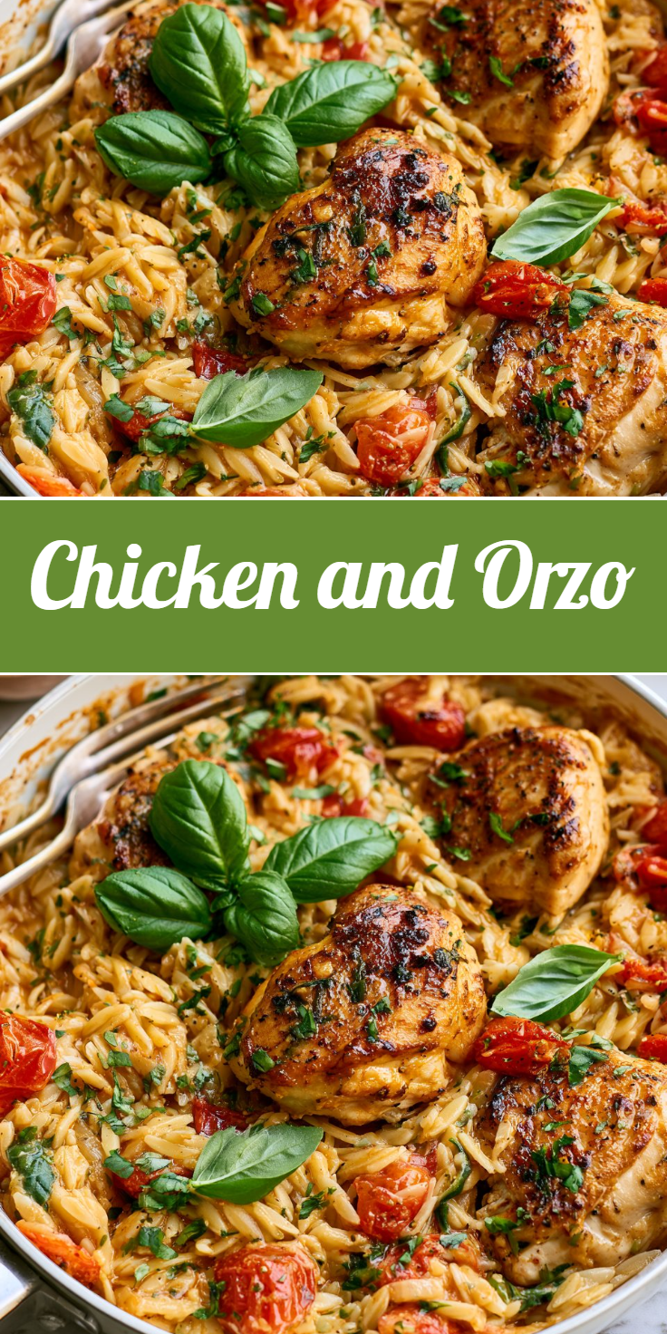 Chicken and Orzo