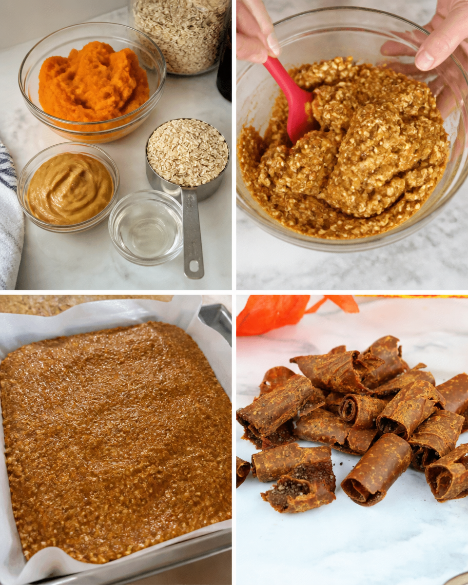 Homemade Dehydrator Pumpkin Leather Dog Treats