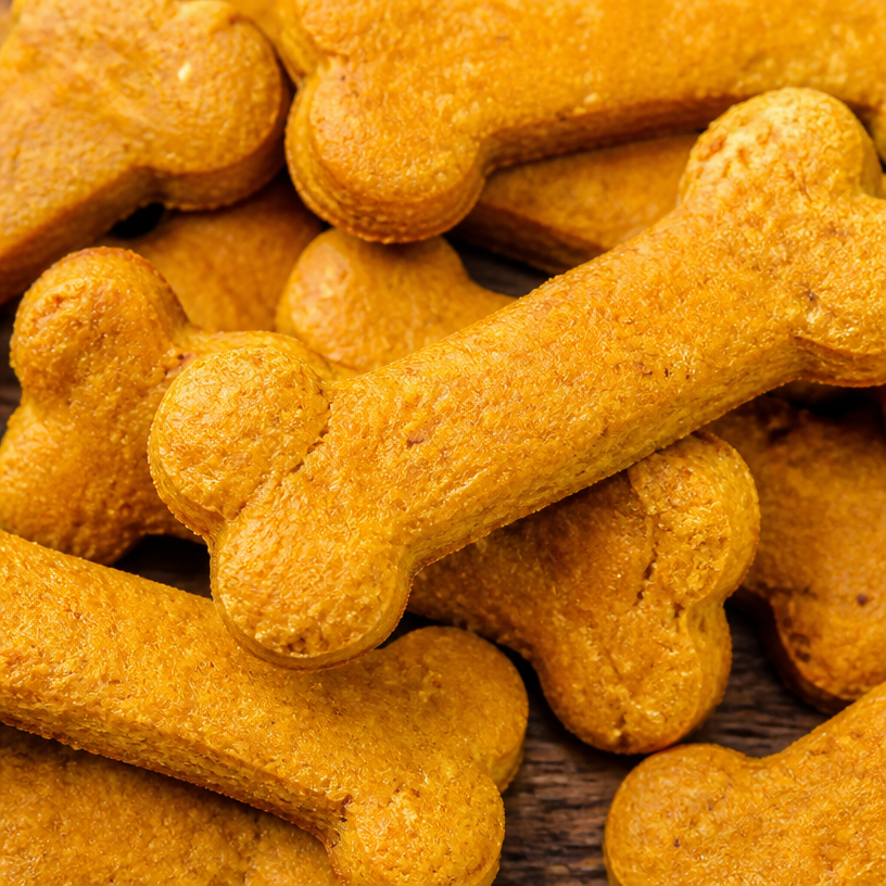 Pumpkin Dog Treats