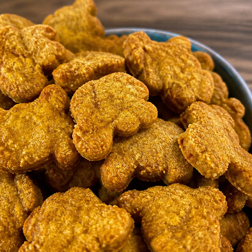 Easy 3-Ingredient Pumpkin Dog Treats