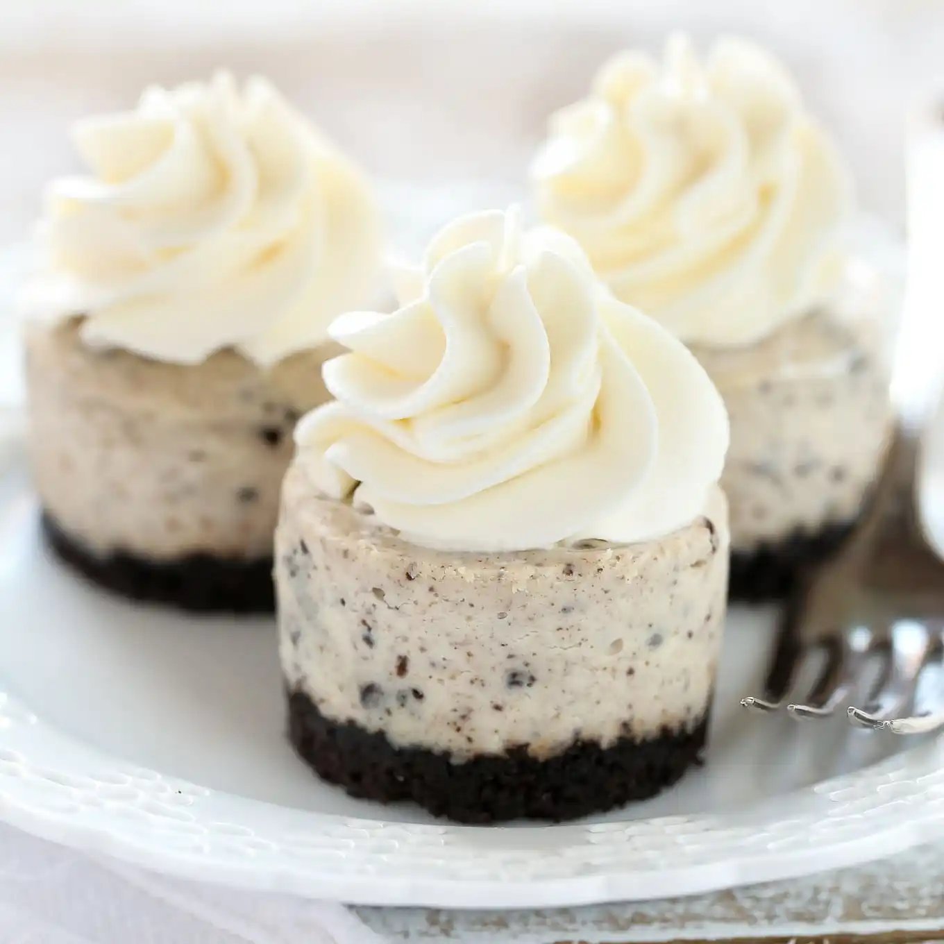 Mini Oreo Cheesecake Bites 2 Mini Oreo Cheesecake Bites