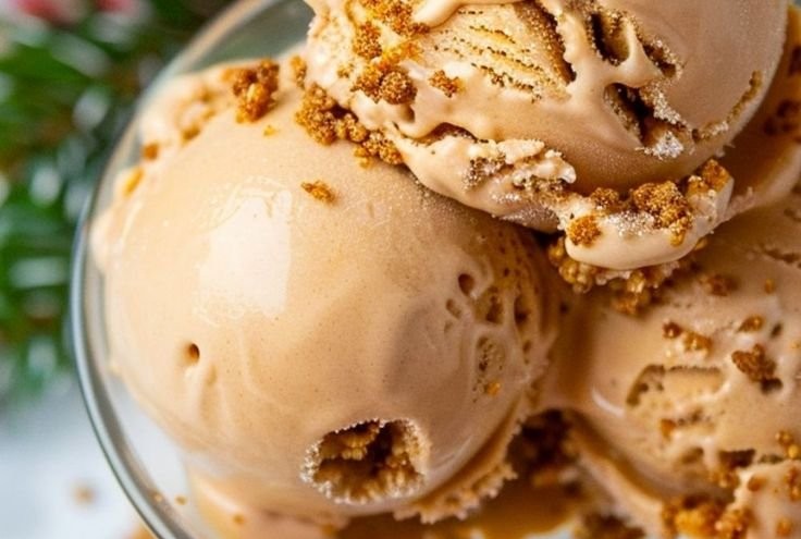 Ninja Creami Vanilla Protein Ice Cream