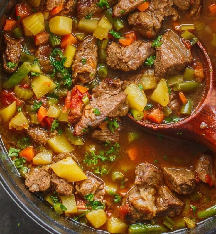 Vegetable Beef Soup