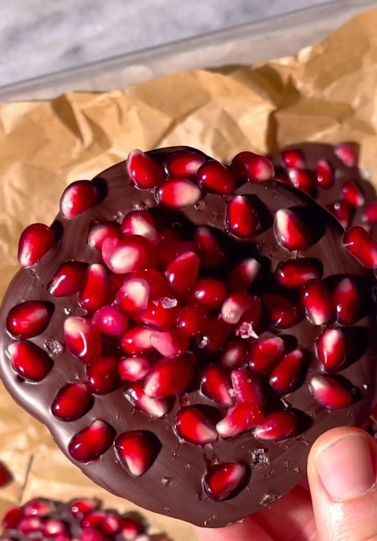 Gourmet Pomegranate Dark Chocolate Bites