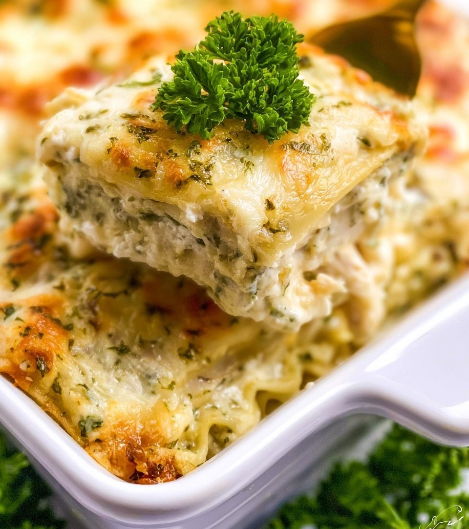 White Chicken Lasagna
