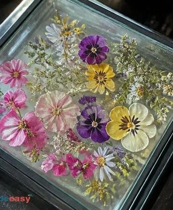 Floating Flower Frame