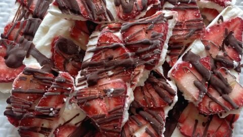 Easy Strawberry Chocolate Frozen Yogurt Bark