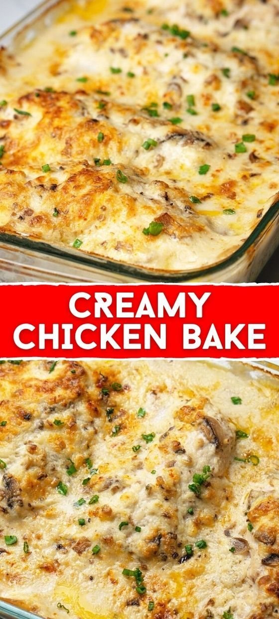 CREAMY CHICKEN BAKE RECIPE