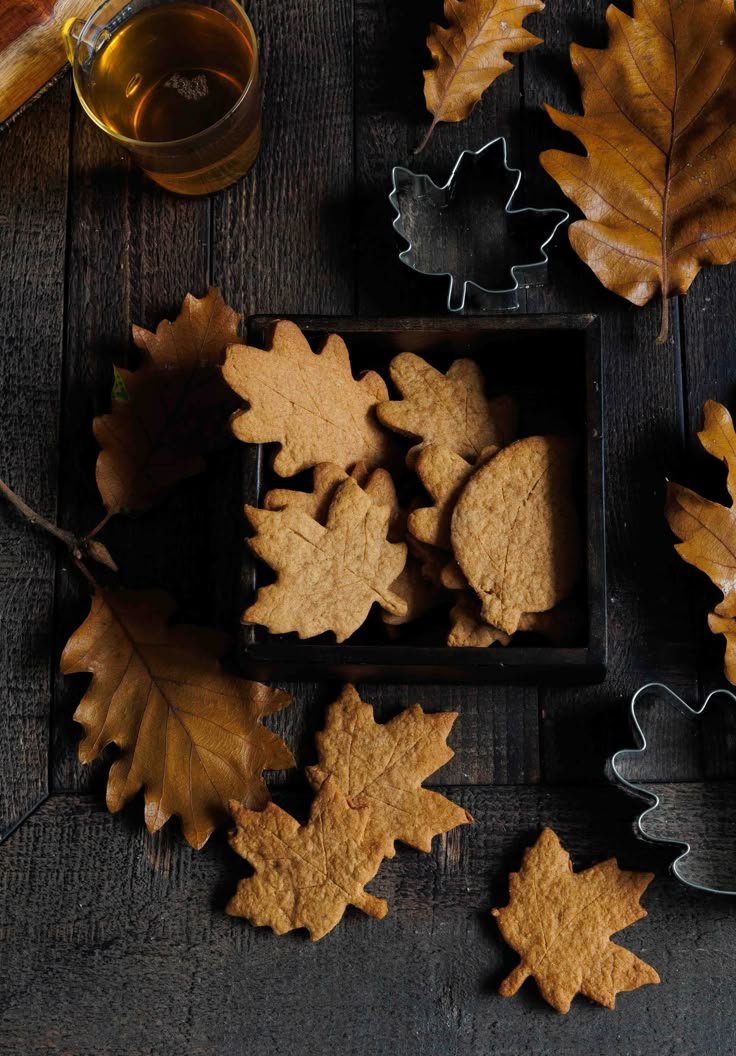 Speculoos  d