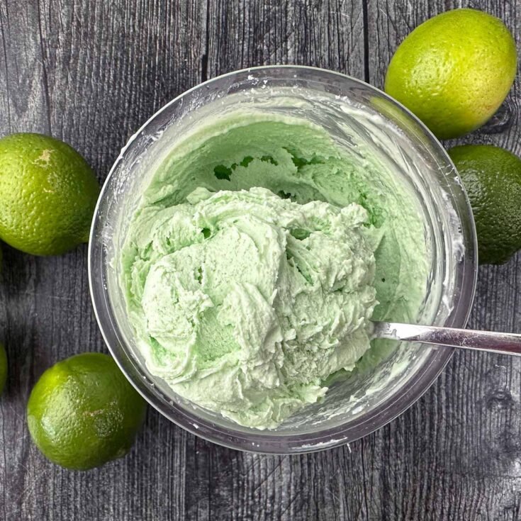 Keto Key Coconut Ice Cream Recipe